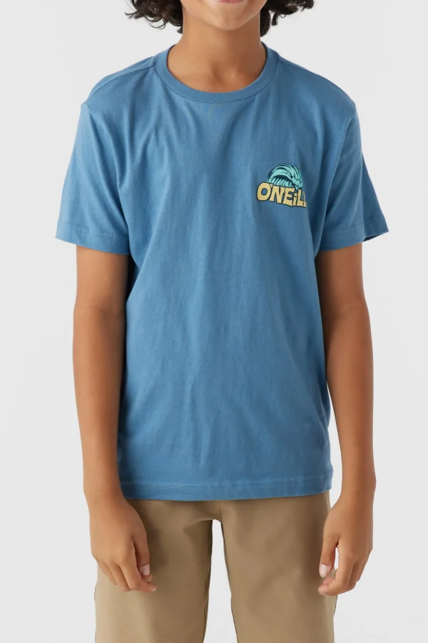 O’Neill BOY'S LEDGE TEE^Kids/BOY Tops