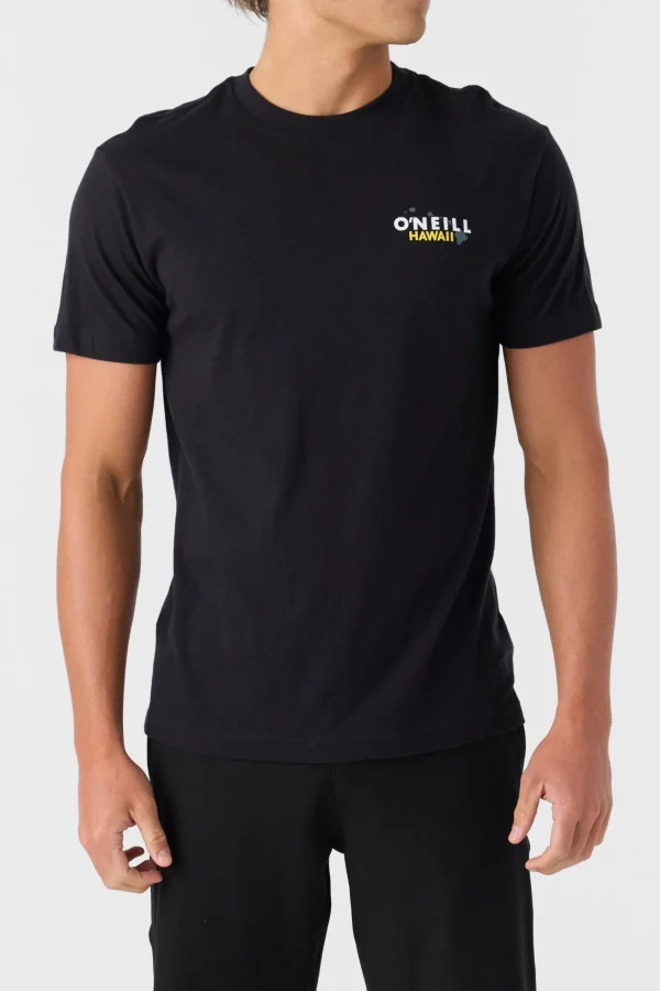 O’Neill MAIN CATCH STANDARD FIT TEE^ Tees