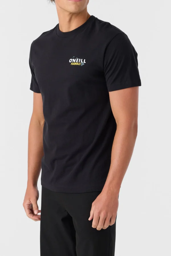 O’Neill MAIN CATCH STANDARD FIT TEE^ Tees