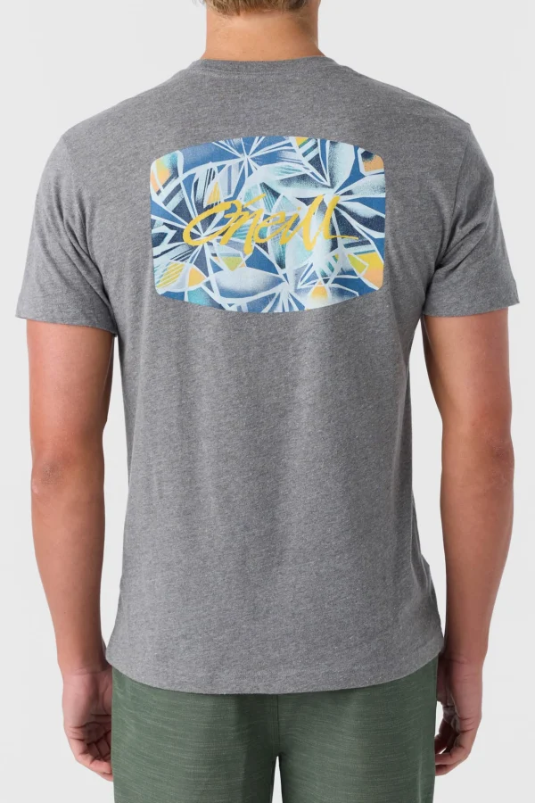 O’Neill MOTLEY STANDARD FIT TEE^ Tees