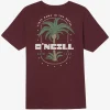 O’Neill STRAINDS STANDARD FIT TEE^ Tees