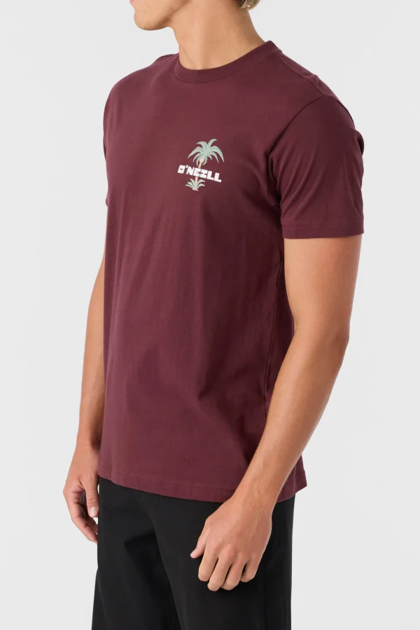 O’Neill STRAINDS STANDARD FIT TEE^ Tees