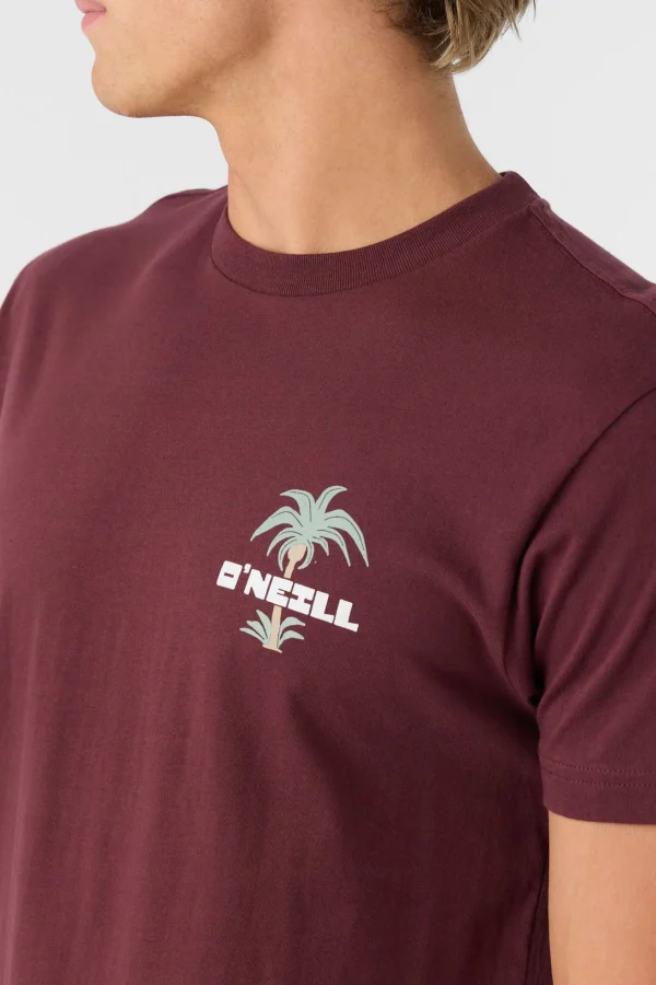 O’Neill STRAINDS STANDARD FIT TEE^ Tees