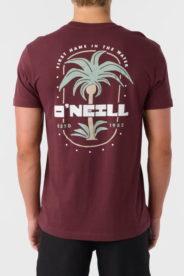 O’Neill STRAINDS STANDARD FIT TEE^ Tees