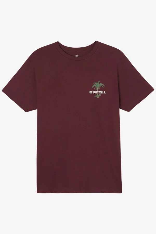 O’Neill STRAINDS STANDARD FIT TEE^ Tees