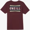 O’Neill WORKING STIFF STANDARD FIT TEE^ Tees